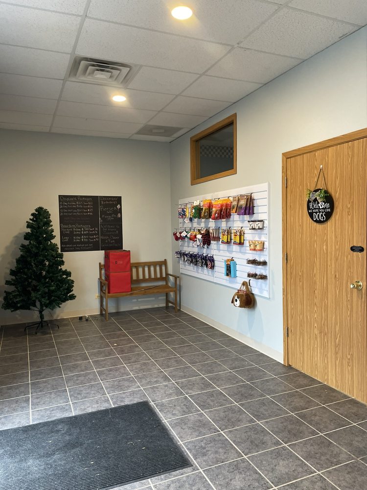 ZOOOMIES Updated September 2024 11 Photos 1581 Sycamore Rd