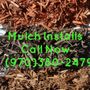 Photo of Green Machine