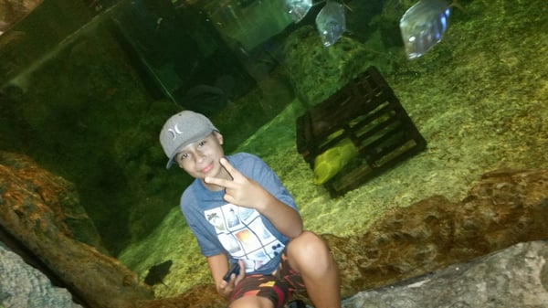 PIER 68 BOAT RENTAL - Updated August 2024 - 27 Reviews - 68200 Overseas