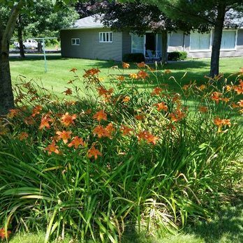 Serendipity Bed and Breakfast - One of several flower gardens - Bed & Breakfast Near Me - Oswego, New York