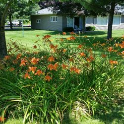 Serendipity Bed and Breakfast - One of several flower gardens