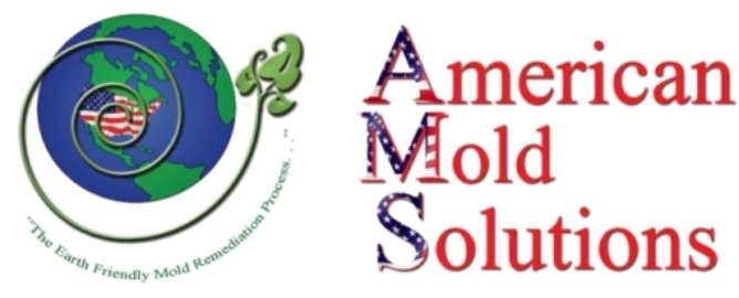 American Mold Solutions - mold inspector in Franklin, TN