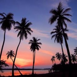 Aloha Lock and Key - Tropical love... Aloha