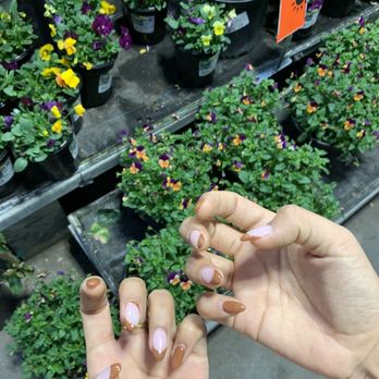 Solano Nail & Spa - Nail Technicians Near Me - Albany, California Solano Nail & Spa - Nail Technicians Near Me - Albany, California
