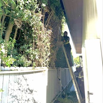 Affordable Tree Care - Shearing hedges - Tree Services Near Me Affordable Tree Care - Shearing hedges - Tree Services Near Me