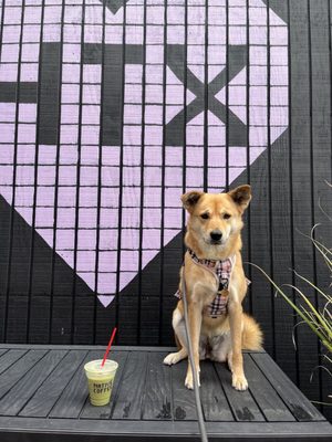 Native Coffee by null