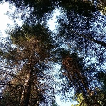 McCloud River - Hiking Near Me - McCloud, California