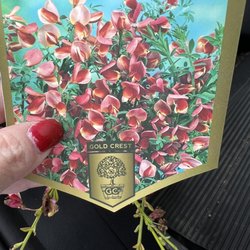 Palmer Nursery