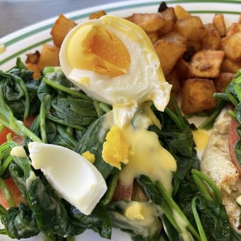 Yellow Yolk Pompano - Breakfast & Brunch Near Me - Pompano Beach, Florida
