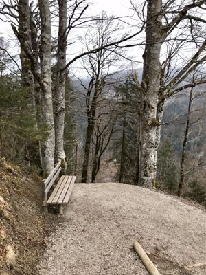 Das Graseck by null