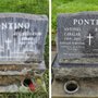 Spotless Headstones