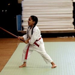 Aikido Kenkyukai Goleta