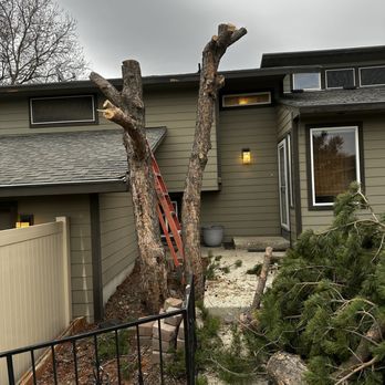 Dream’s Landscape Management & Weed Control - Proactive removal of a hazardous tree to protect the home structure - Masonry/Concrete Near Me Dream’s Landscape Management & Weed Control - Proactive removal of a hazardous tree to protect the home structure - Masonry/Concrete Near Me