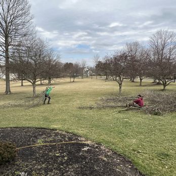 Al's Affordable Tree Service - Gardeners Near Me