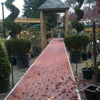 The Greenery Nursery - a walkway towards the roses - Nurseries & Gardening Near Me - Turlock, California