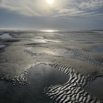 Folly Beach County Park - Parks Near Me - Folly Beach, South Carolina Folly Beach County Park - Parks Near Me - Folly Beach, South Carolina