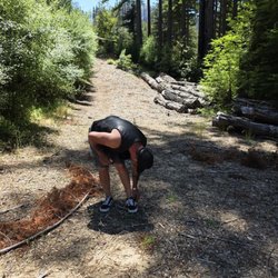 Camp Hammer