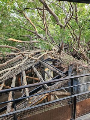 Former Tait & Co. Merchant House by null