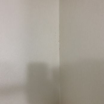 Triple Play Resort and Suites - Mold on wall above shower. - Hotels Near Me - Hayden, Idaho
