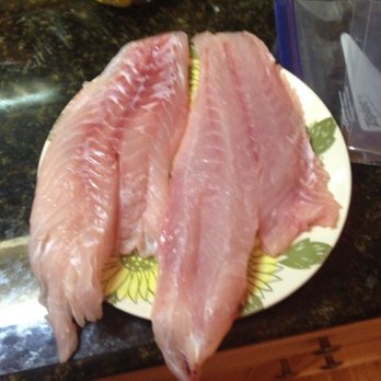 Two Bills Seafood - Fresh grouper fillets - Seafood Markets Near Me - Fort Lauderdale, Florida Two Bills Seafood - Fresh grouper fillets - Seafood Markets Near Me - Fort Lauderdale, Florida