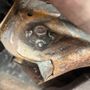 Photo of Mr D'S Fastlane 76
