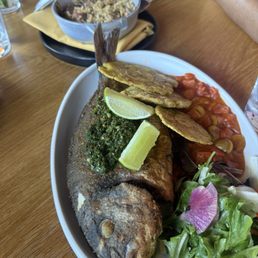 Red Snapper Red Snapper