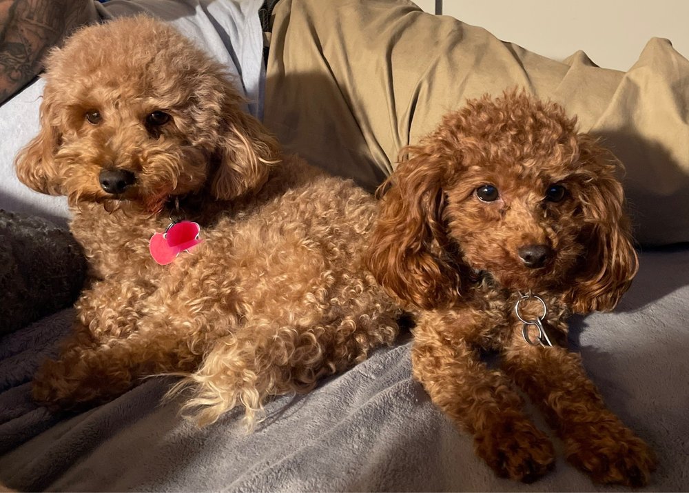 View of AZ Mobile Spaws