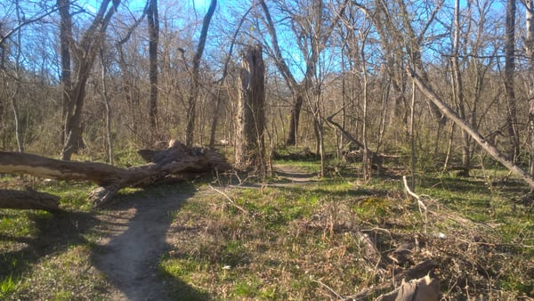 Spring Creek Forest Preserve by null