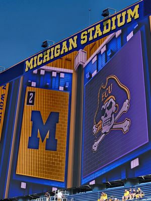 Michigan Stadium by null