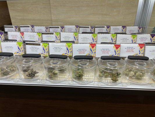 Euphoria Wellness by null