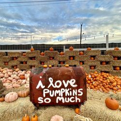 San Antonio Pumpkin Festival at Town Square - Photo op!