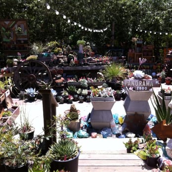 Grow - The new layout of Grow! - Nurseries & Gardening Near Me - Cambria, California Grow - The new layout of Grow! - Nurseries & Gardening Near Me - Cambria, California