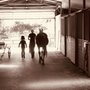 Photo of Monarch Stables