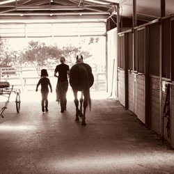 Monarch Stables - Cheyenne leading Barbie and my granddaughter to the ring.