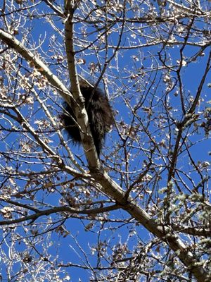 ABQ BioPark - Botanic Garden by null