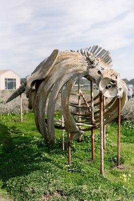 Seymour Marine Discovery Center by null