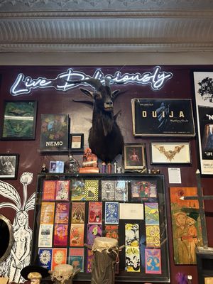 Buckland Museum of Witchcraft & Magick by null