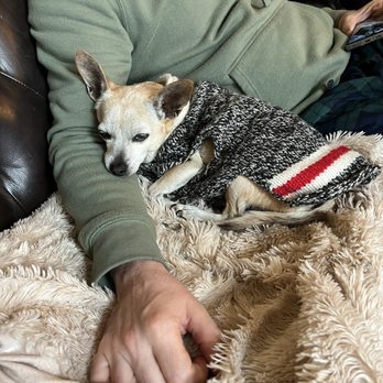 Green Collar Operations - Happy cozy chi - Heating & Air Conditioning/HVAC Near Me - Austin, Texas