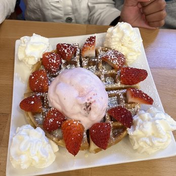 Proper Rose Garden - Waffle - Themed Cafes Near Me - Katy, Texas