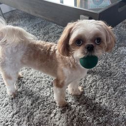 Cutie looks so dapper with his new hair!!