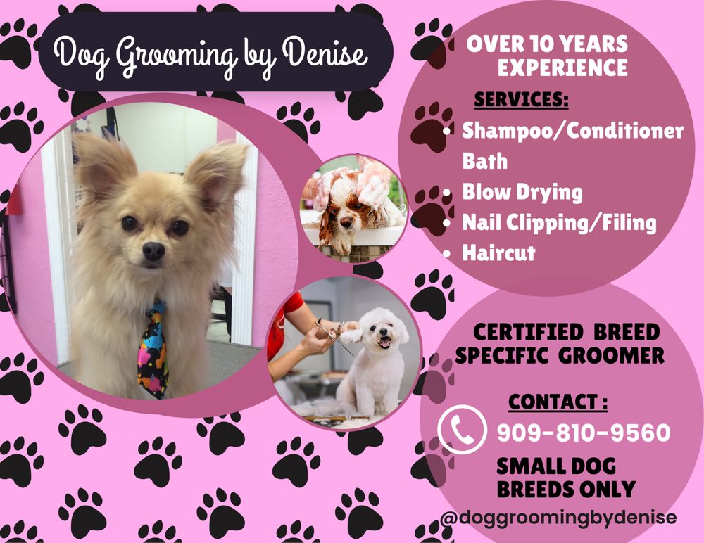 Dog Grooming by Denise  Image