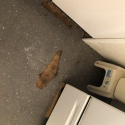 Sun Realty - Cant put the baby on the floors