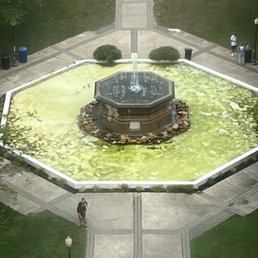 Moldy fountain Moldy fountain
