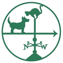 manchester veterinarians goffstown hospital animal