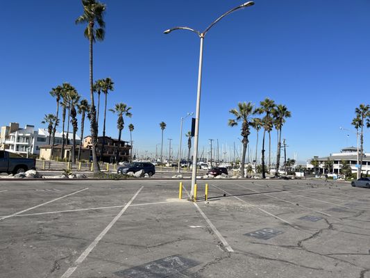 Alamitos Park by null