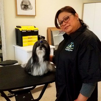 Bubbles and Brushes For Paws Grooming Salon - Pet Groomers Near Me - Oak Park, Illinois Bubbles and Brushes For Paws Grooming Salon - Pet Groomers Near Me - Oak Park, Illinois