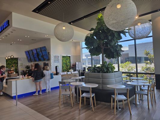 Blue Whale Poke Bar and Grill by null