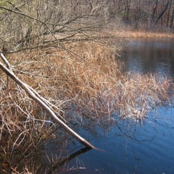 Lost Pond Reservation