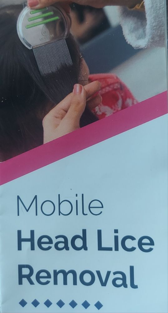 MOBILE HEAD LICE REMOVAL Saint Paul, Minnesota Lice Services