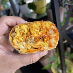 The best vegan breakfast burrito you will ever have! The best vegan breakfast burrito you will ever have!